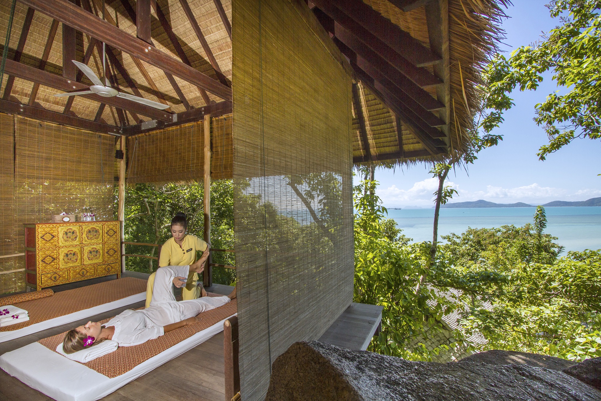 KAMALAYA-Acupuncture-Rejuvenation- Facial