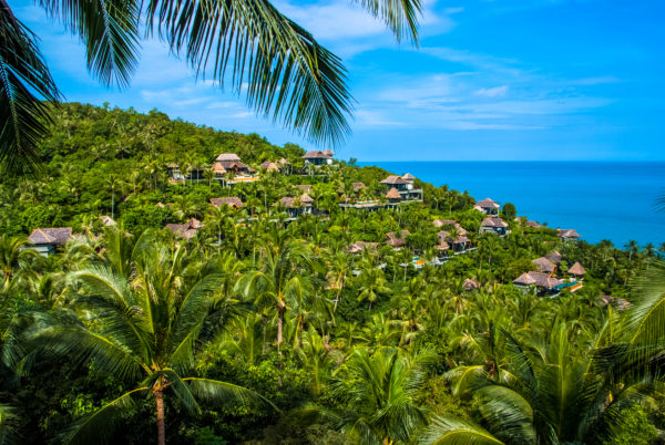 Four Seasons Koh Samui, seaview, villas, palm trees