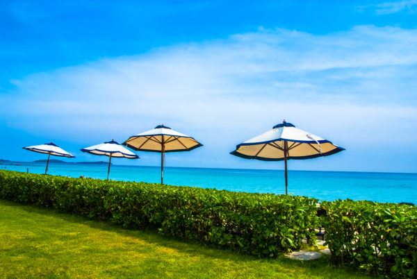 Umbrella, seaview, turquoise waters, green grass